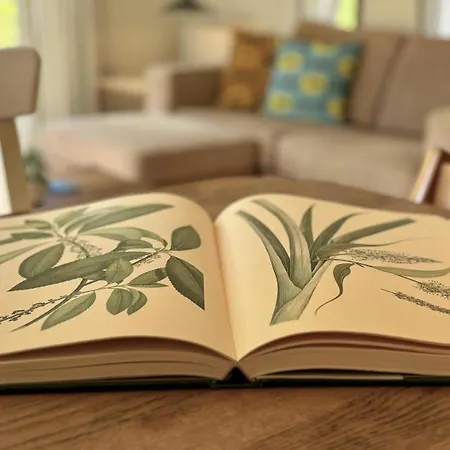 Bungalowpark Het Verscholen Dorp