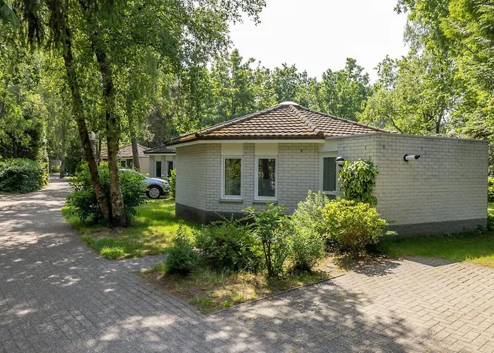 홀리데이파크 Bungalowpark Het Verscholen Dorp 2*