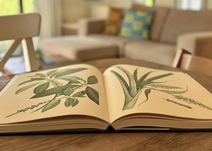 بونغالوبارك هيت فيرشولين دورب