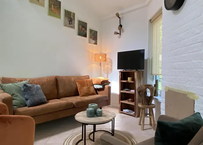 פארק נופש Bungalowpark Het Verscholen Dorp