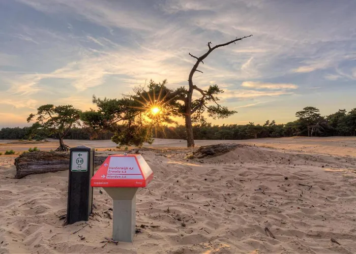 Bungalowpark Het Verscholen Dorp פארק נופש הארדרוייק